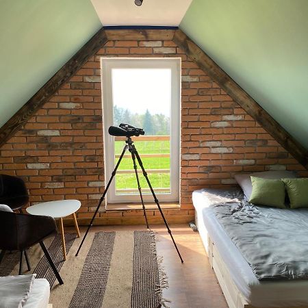Domek Przy Debrzy Villa Poraz Eksteriør billede